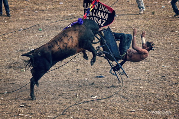 fotos artisticas carnaval de Barranquilla